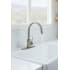 Faucet Spray